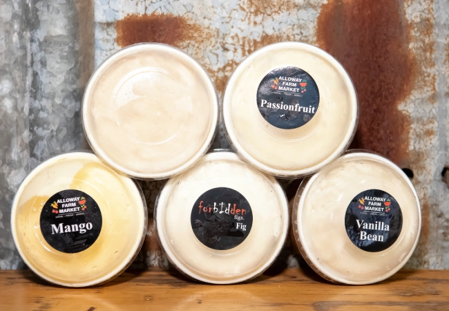 home-made-alloway-frozen-yoghurts-ice-cream-img