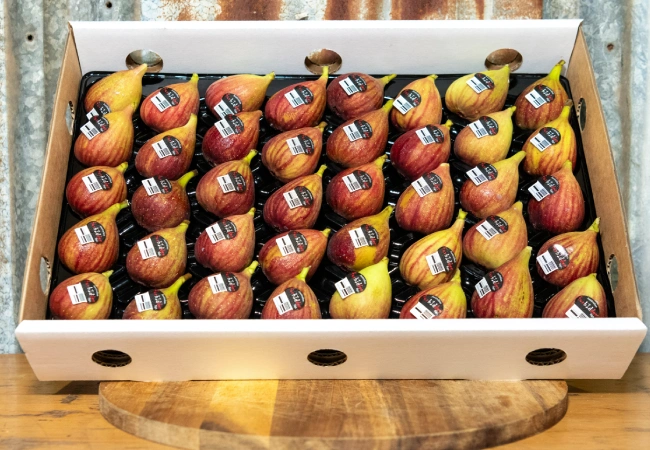 home-made-fresh-figs-img