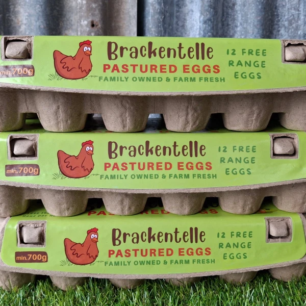 local-suppliers-eggs-product-img