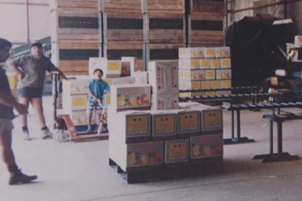 about-us-original-packing-shed-img